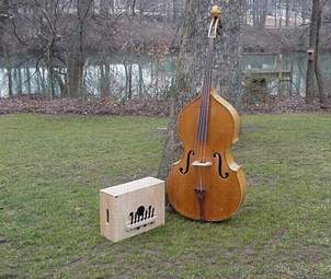 Side by side upright bass and Bass Box